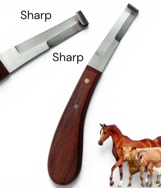 Hoof Knife Double Edge Blades 8" Farrier Veterinary Premium Instruments