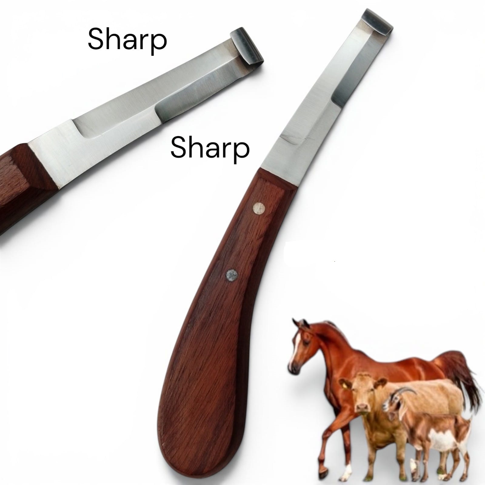 Hoof Knife Double Edge Blades 8" Farrier Veterinary Premium Instruments