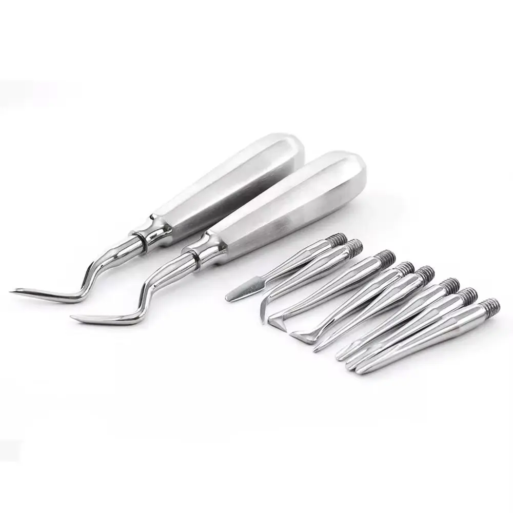 Professional Dental Luxating Elevator Set with Replaceable Screw Tips Detachable Point (Stainless Steel) - Image 5