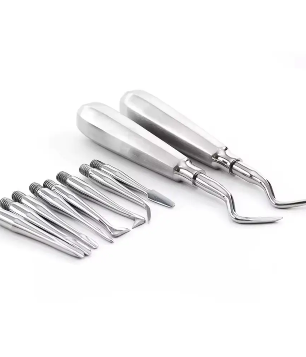 Professional Dental Luxating Elevator Set with Replaceable Screw Tips Detachable Point (Stainless Steel)