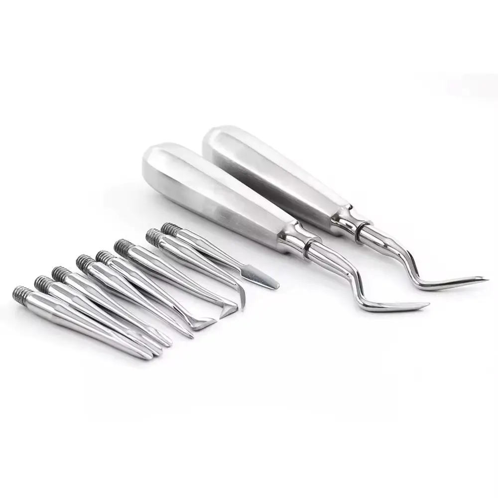 Professional Dental Luxating Elevator Set with Replaceable Screw Tips Detachable Point (Stainless Steel)
