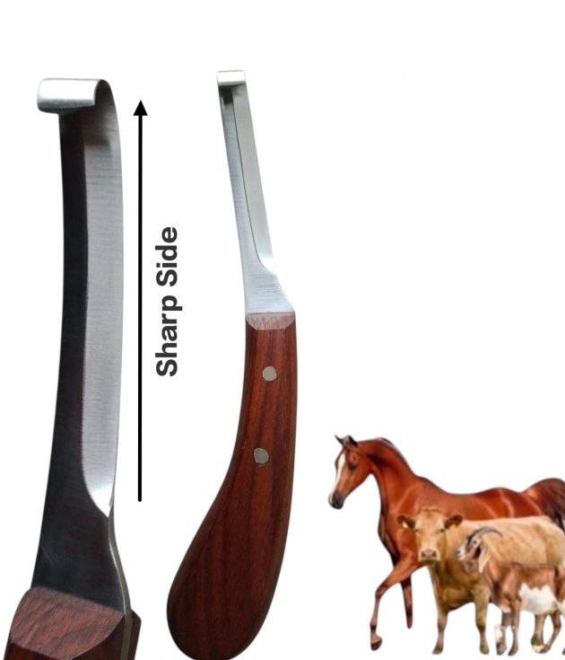 Hoof Knife Single Edge Blades 8" Farrier Veterinary Premium Instruments