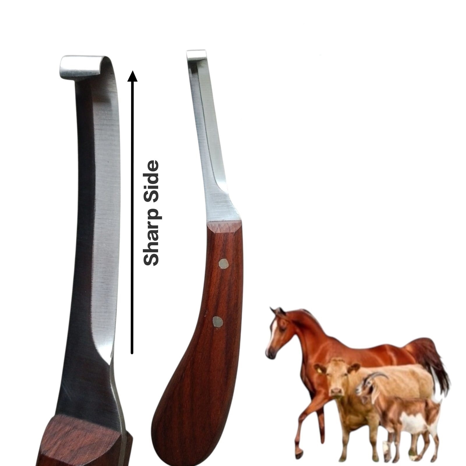 Hoof Knife Single Edge Blades 8" Farrier Veterinary Premium Instruments