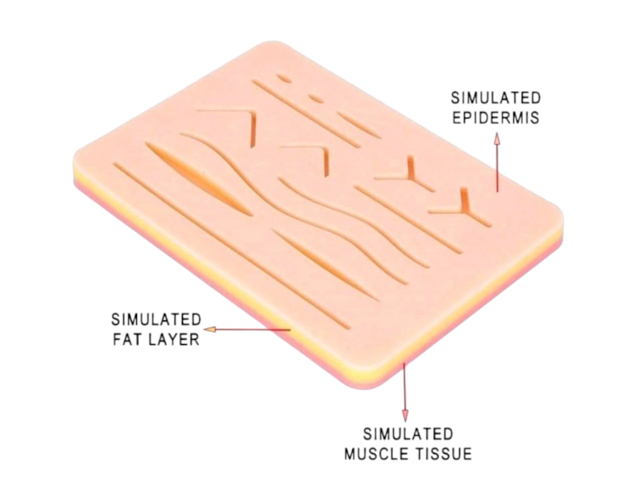 Complete Medical Student Suture Practice Kit with Silicone Pad & Tools - Image 5