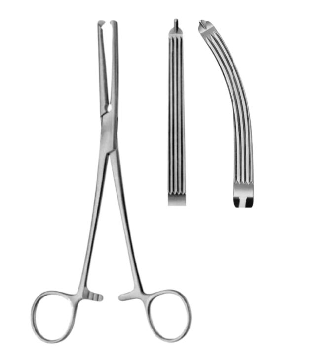 Gwilliams Hysterectomy Forceps 20cm (Straight / Curved) 1x2 Teeth | Stainless Steel