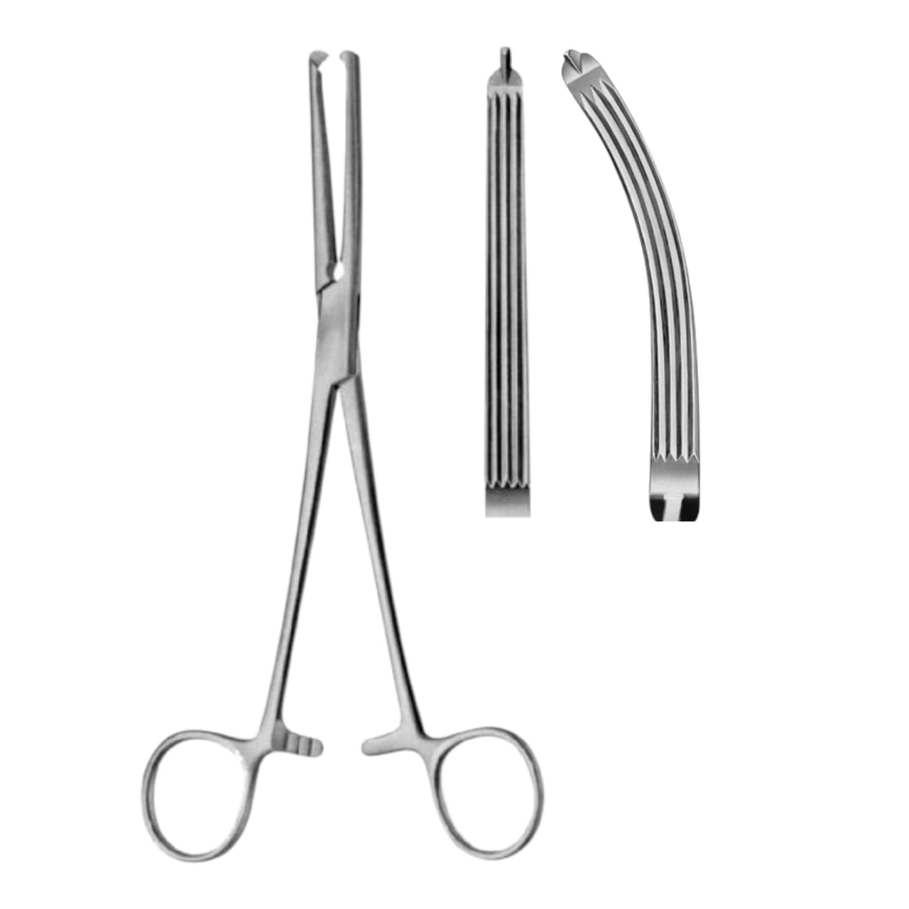 Gwilliams Hysterectomy Forceps 20cm (Straight / Curved) 1x2 Teeth | Stainless Steel
