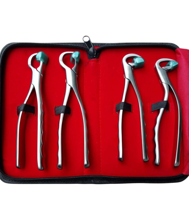 Dental Extraction Forceps Standard Series Set of 4 Pieces with Protective Carrying Case