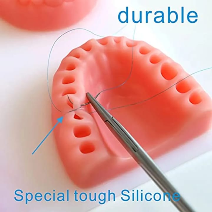Dental Suture Training Kit for Gingival Suturing Practice | Dental Practice Kit - Image 6