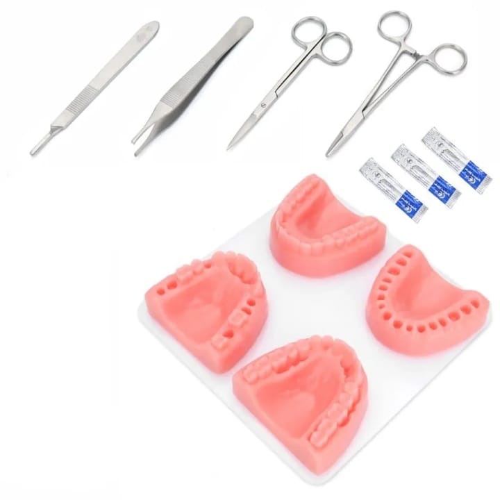 Dental Suture Training Kit for Gingival Suturing Practice | Dental Practice Kit