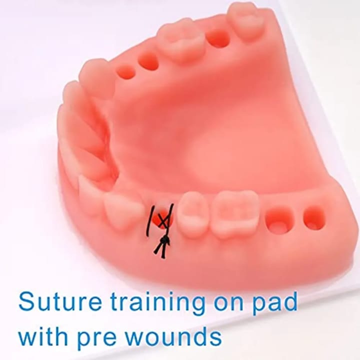Dental Suture Training Kit for Gingival Suturing Practice | Dental Practice Kit - Image 3