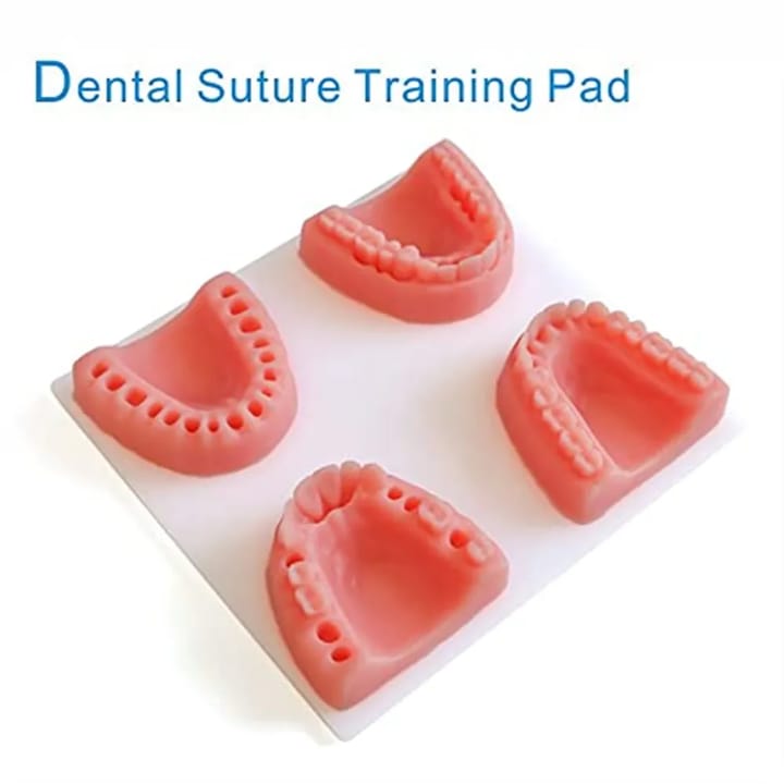 Dental Suture Training Kit for Gingival Suturing Practice | Dental Practice Kit - Image 2