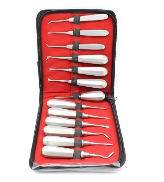 13 Pcs Dental Stainless Steel Root Forceps Extraction Elevator Kit with Non-Magnetic 304 Steel & Hex Handles