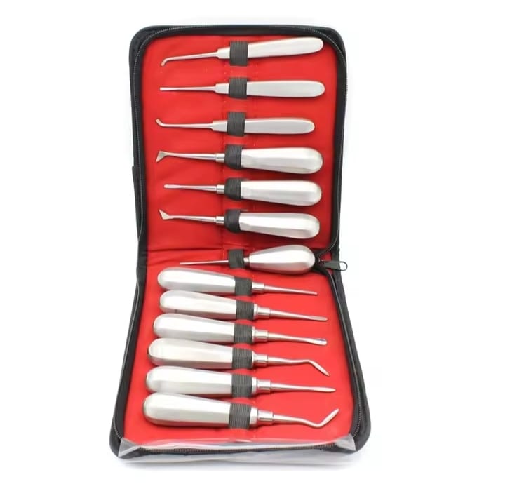 13 Pcs Dental Stainless Steel Root Forceps Extraction Elevator Kit with Non-Magnetic 304 Steel & Hex Handles