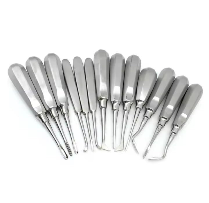13 Pcs Dental Stainless Steel Root Forceps Extraction Elevator Kit with Non-Magnetic 304 Steel & Hex Handles - Image 4