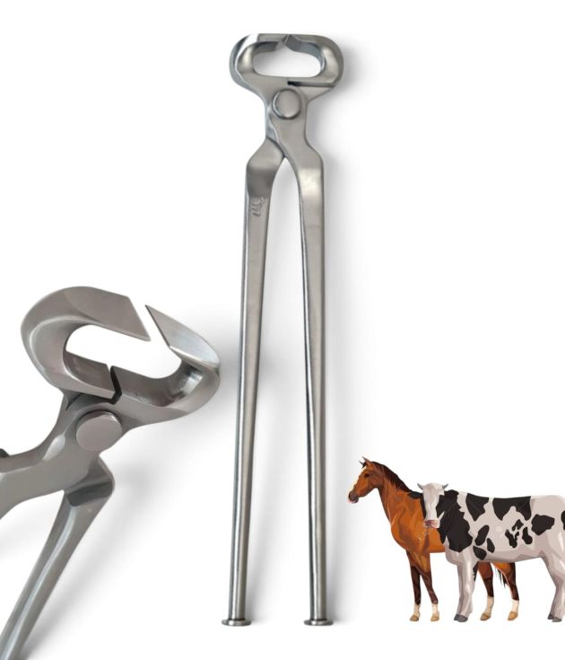 Laser Surgical Professional Stainless Steel Hoof Nippers Heavy Duty Veterinary Horse Surgery & Farrier Tool (CE & ISO 9001 / ISO 13485 Certified)