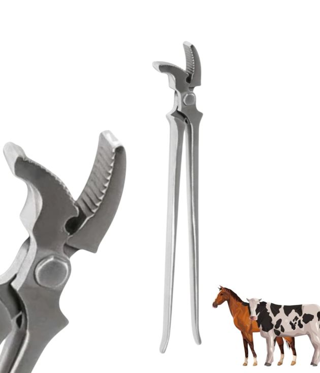 Laser Surgical Professional 14 Inch Stainless Steel Curved / Bent Jaw Hoof Clincher Reusable Farrier Tool for Horse Horseshoe Clinching Large Animal Veterinary Hoof Care (CE & ISO 9001 / ISO 13485 Certified)